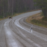 Skärmavbild 2015-10-22 kl. 11.58.30